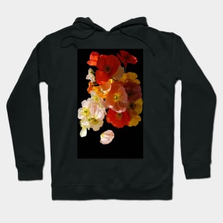 Sunny poppies Hoodie